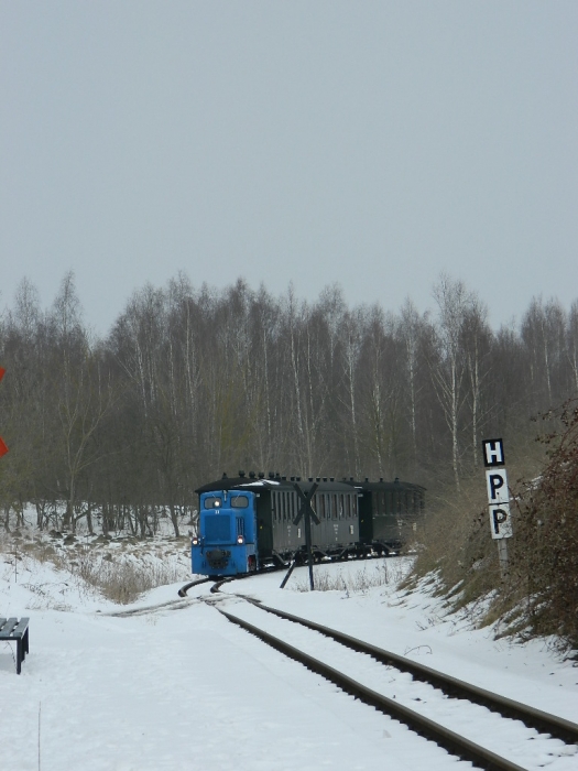 dscn6504.jpg dscn6504.jpg